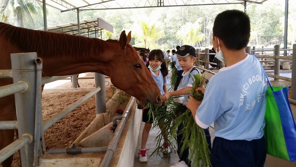 柔佛實在好玩好介紹： HS Farm Stay休閑農場 (Part 1) (www.sg2jb.com)